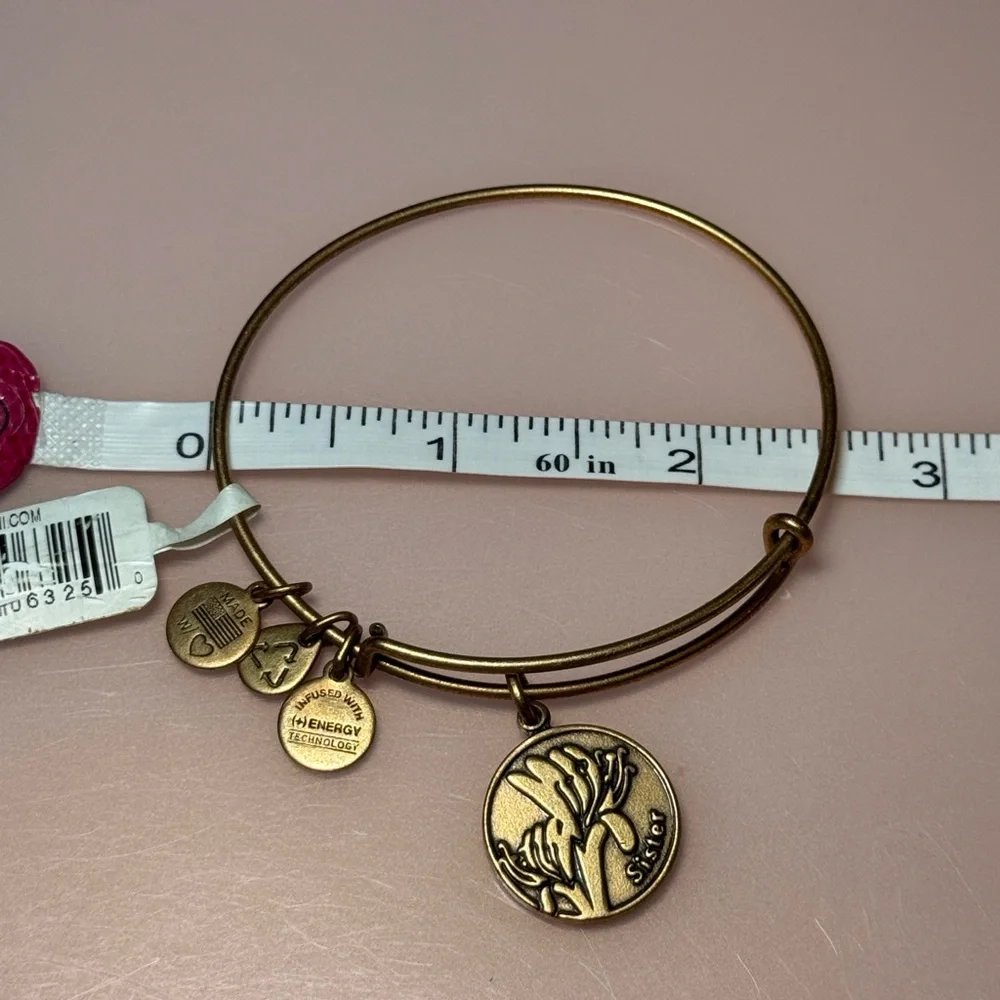 Alex and Ani “Because I Love‎ You Sister” Rafaelian Gold Expandable Charm Bangle